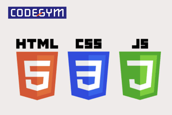 Ngôn ngữ lập trình dành cho lập trình viên web Front - End