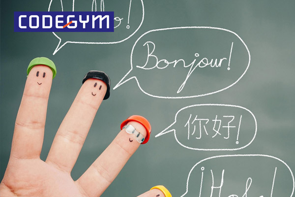 Ngoại ngữ là kiến thức mà lập trình viên cần học