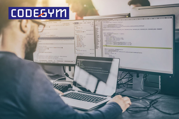 Học lập trình để làm nhiều vị trí khác nhau