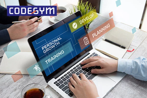 Lập trình viên là kỹ sư phần mềm