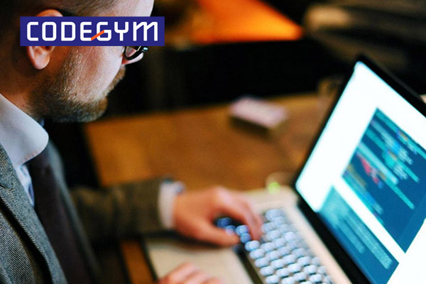 Lập trình là một việc của người lập trình viên