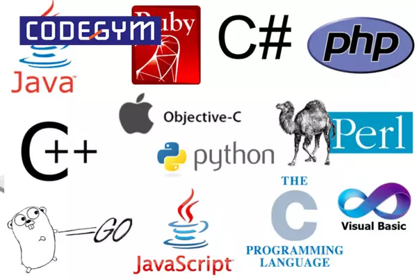 Ngôn ngữ lập trình là ngôn ngữ hỗ trợ giao tiếp với máy tính