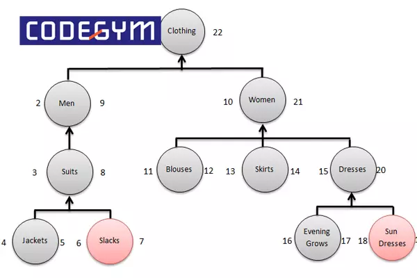 Database phân cấp