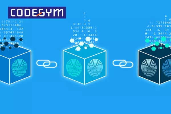 Chuỗi khối Blockchain hoạt động tương tự như một cơ sở dữ liệu