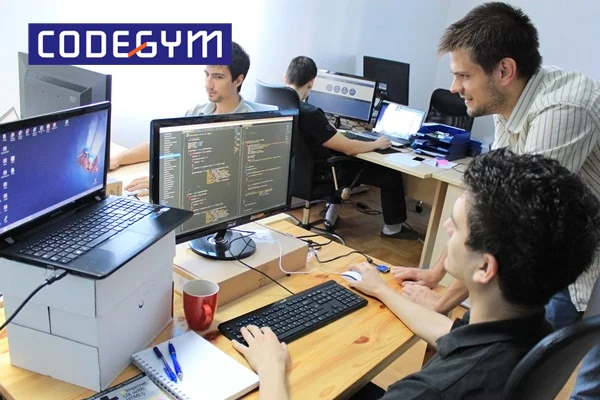 Tuổi nghề lập trình 55% là từ 20-29 tuổi