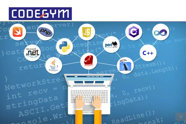 Chọn ngôn ngữ lập trình cần dựa vào sự trải nghiệm