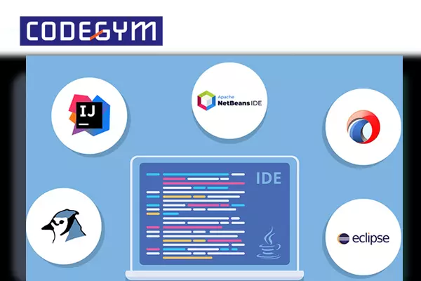 Mục đích chính của dân Developer khi sử dụng IDE chính là viết mã nguồn