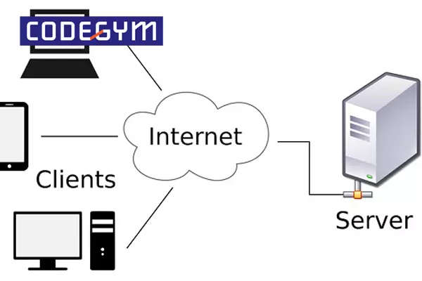 Có 4 loại mạng cơ bản là: LAN, MAN, WAN và PAN