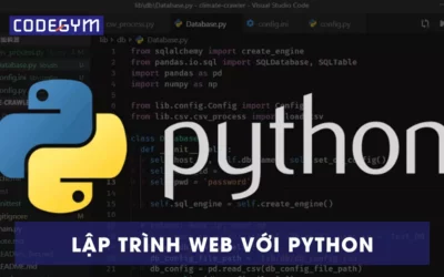 TOP 5 lý do nên lập trình web với Python