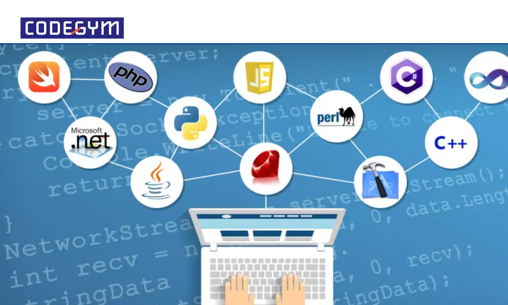 Ngôn ngữ lập trình có mấy loại? 3 loại ngôn ngữ phổ biến