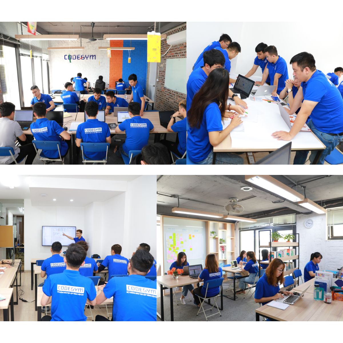 Lớp học Tester Tester