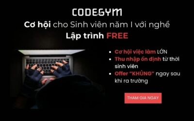 Sinh viên năm nhất nên tìm hiểu nghề Lập trình ngay từ khi còn trên ghế nhà trường