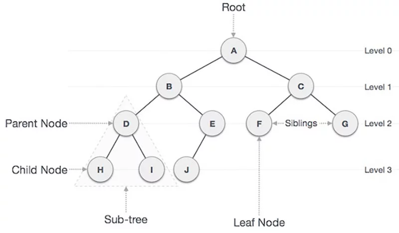 Ứng dụng các node