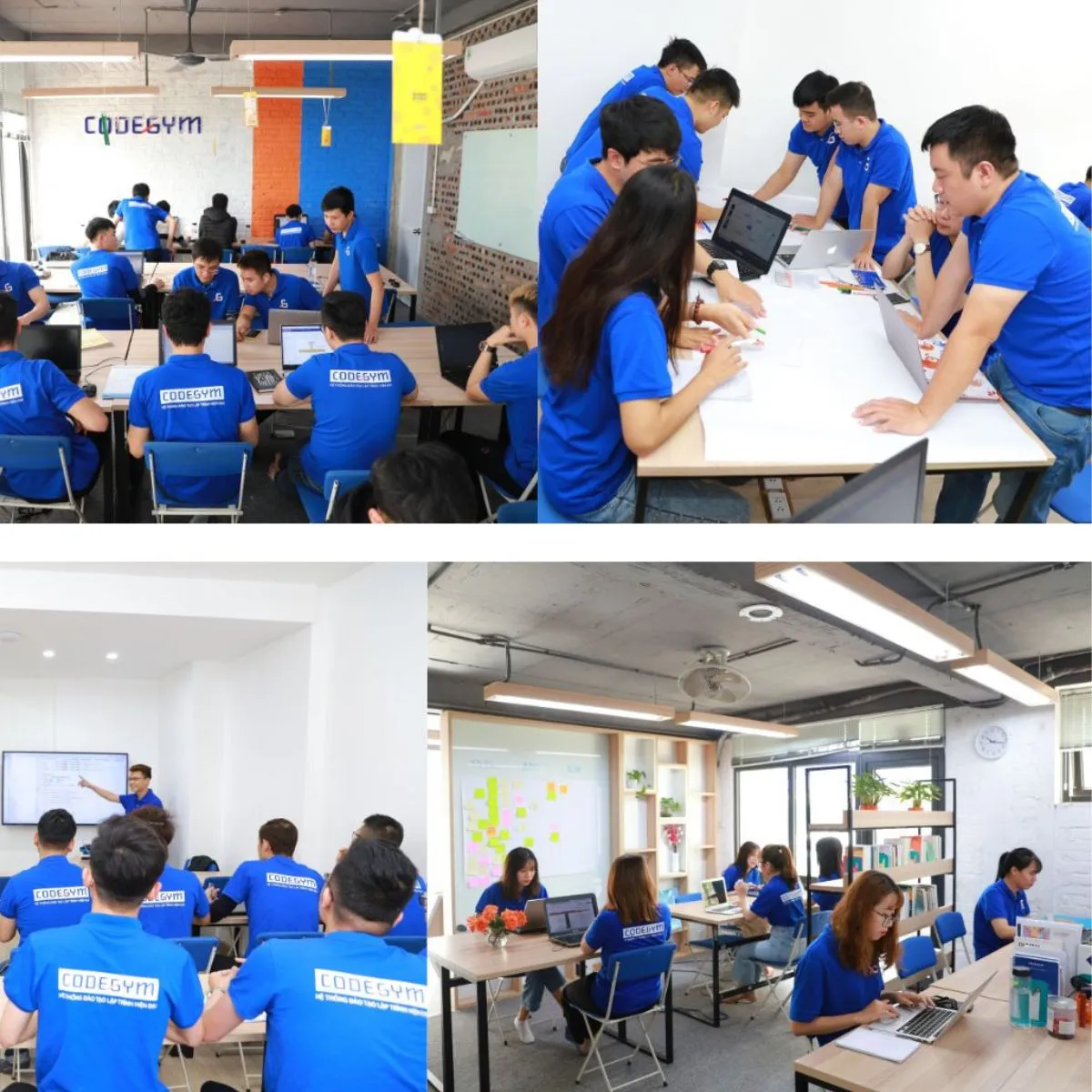 ai nen hoc data analyst