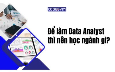 Để làm Data Analyst thì nên học ngành gì? Vai trò, kỹ năng và cơ hội nghề nghiệp?