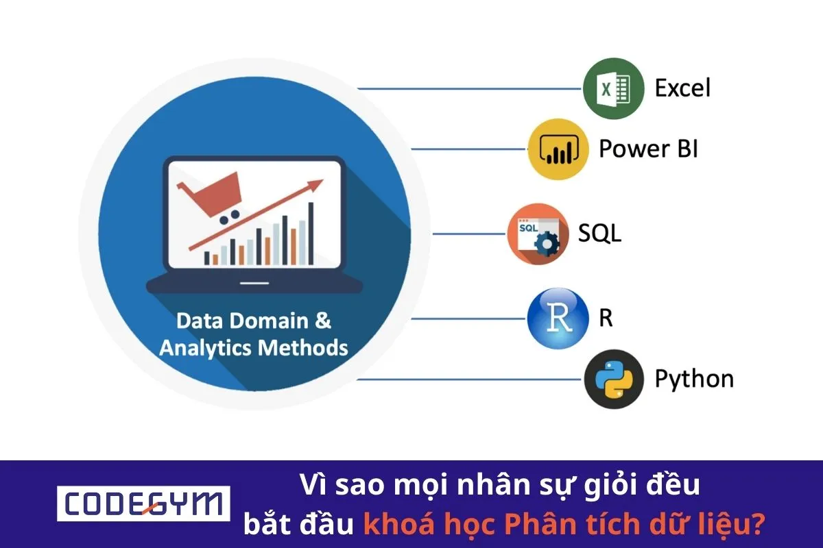 Vì sao mọi nhân sự giỏi đều bắt đầu khoá học Phân tích dữ liệu
