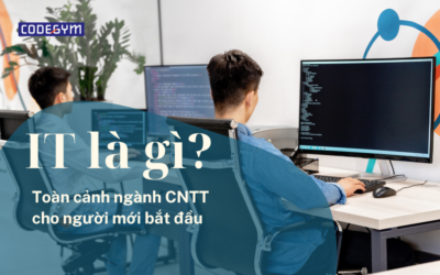 IT là gì? Toàn cảnh ngành CNTT cho người mới bắt đầu